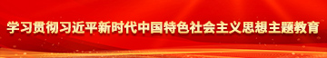 日本操美女屄学习贯彻习近平新时代中国特色社会主义思想主题教育